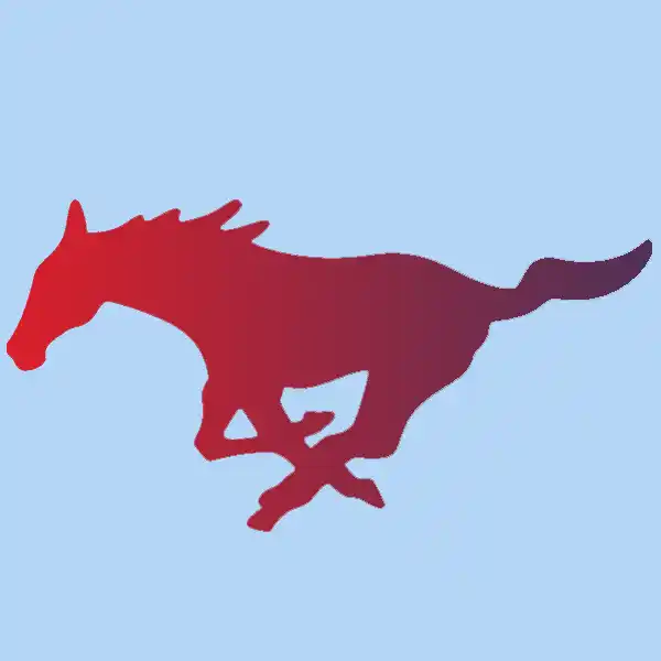 mustang horse
